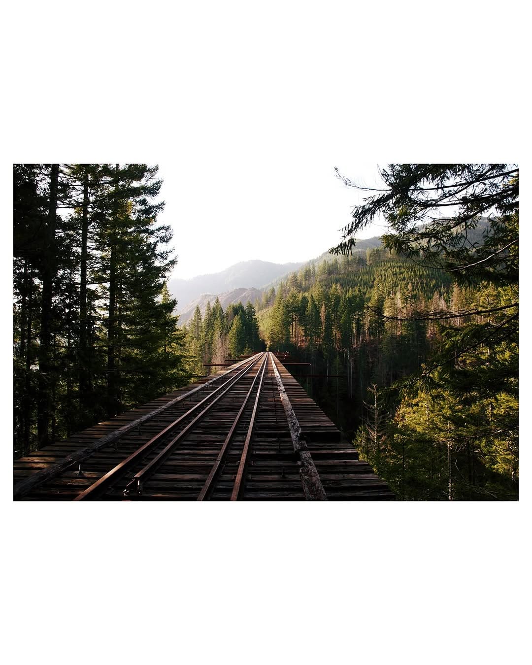 Post 9 by Griffin Lamb on Instagram (image)