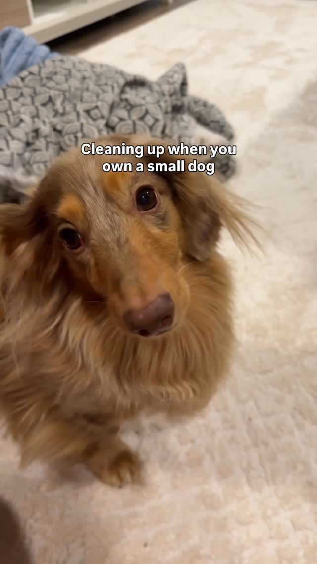 Post 4 by Roswell on Instagram (video)