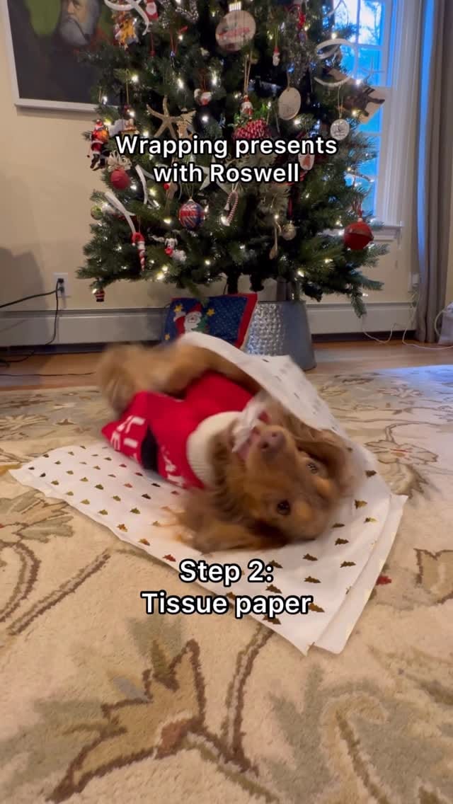 Post 8 by Roswell on Instagram (video)