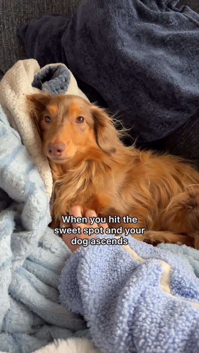 Post 6 by Roswell on Instagram (video)