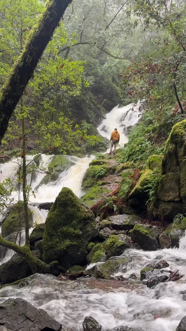 Post 5 by Robert Thurman on Instagram (video)