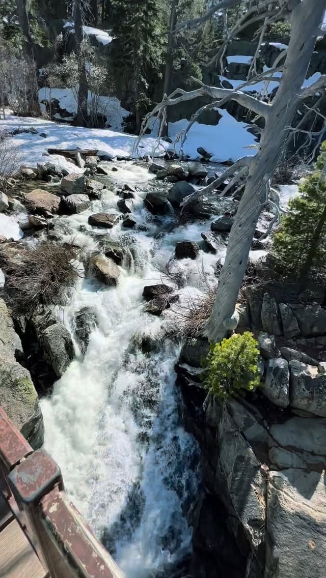 Post 7 by Robert Thurman on Instagram (video)