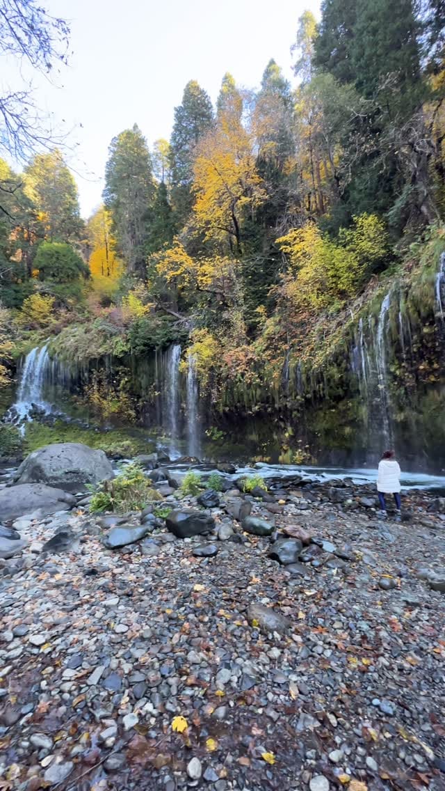 Post 8 by Robert Thurman on Instagram (video)
