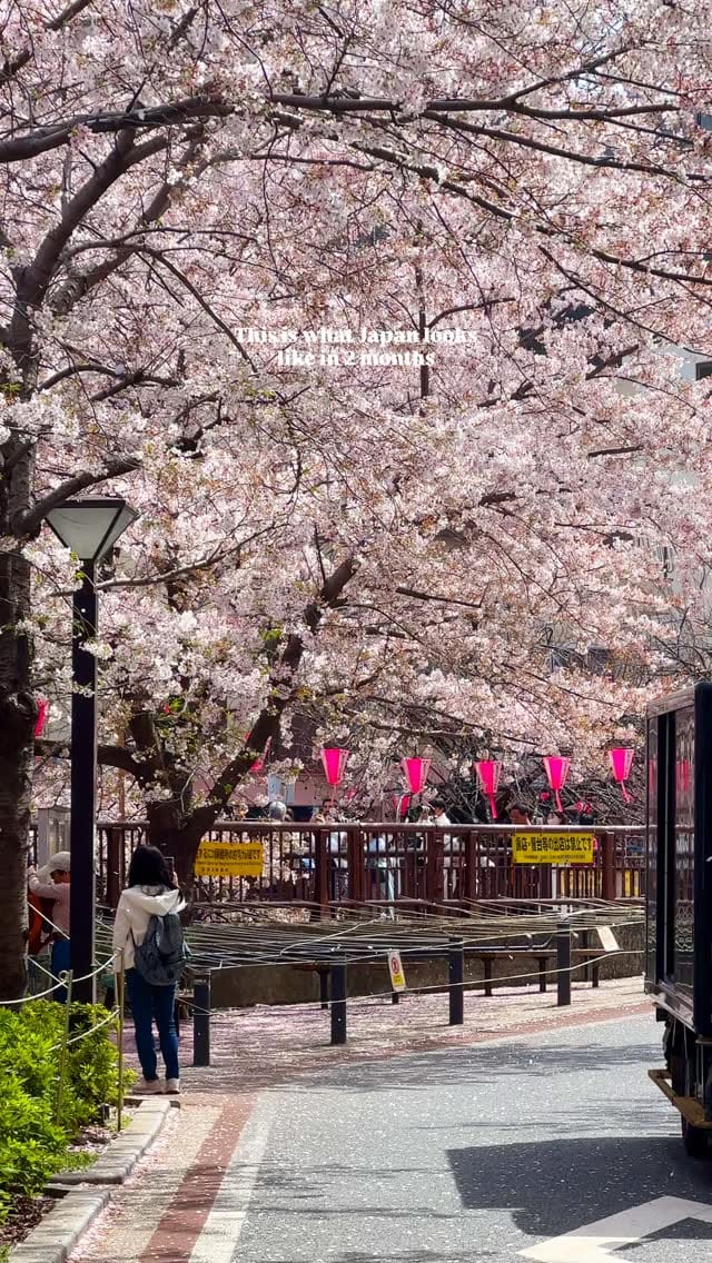 Post 1 by Cherise | Travel Blogger on Instagram (video)