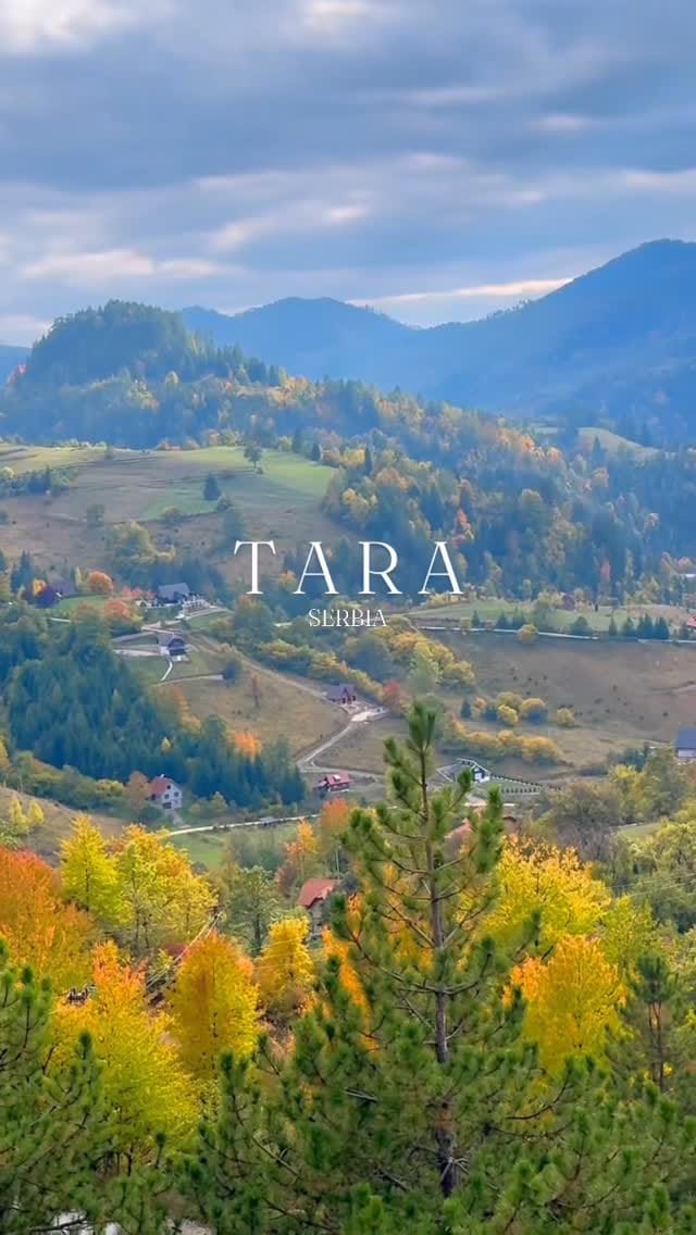 Post 5 by Kathy J on Instagram (video)