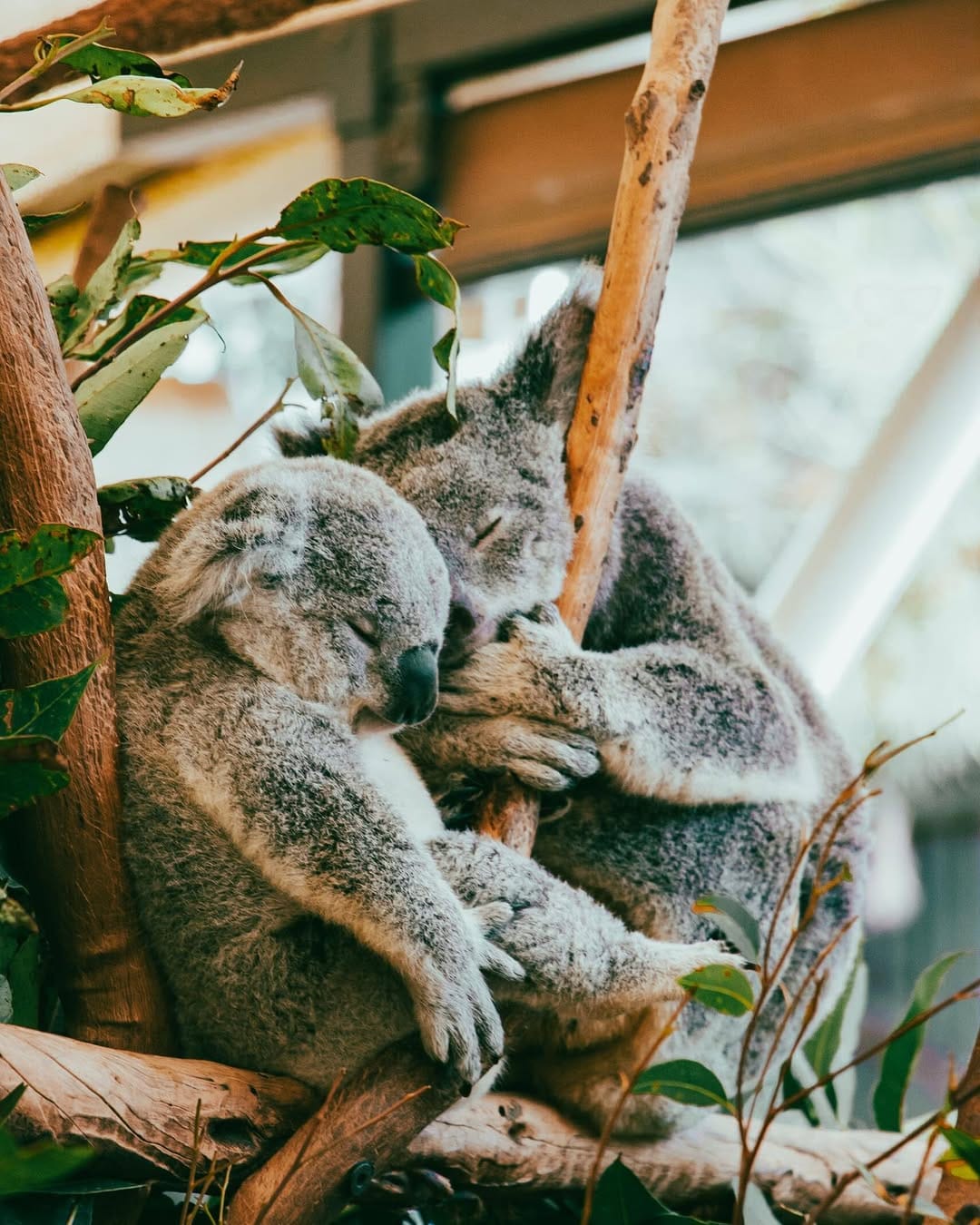 Post 2 by Reilly Small on Instagram (image)
