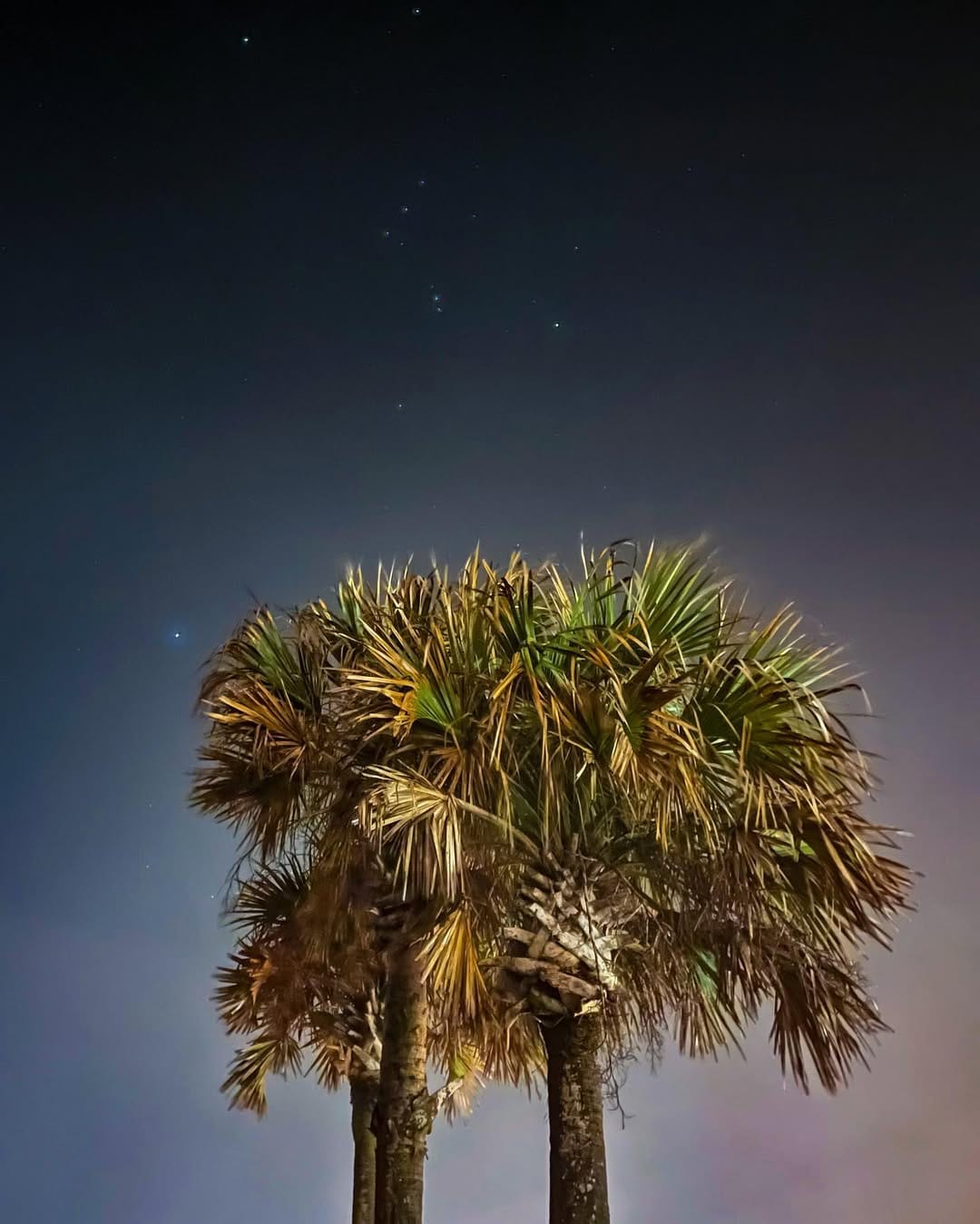 Post 6 by Reilly Small on Instagram (image)
