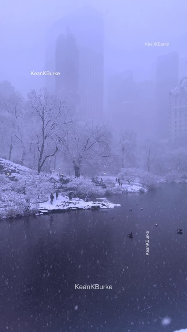 Post 5 by Kevin Burke | New York City Photographer on Instagram (video)
