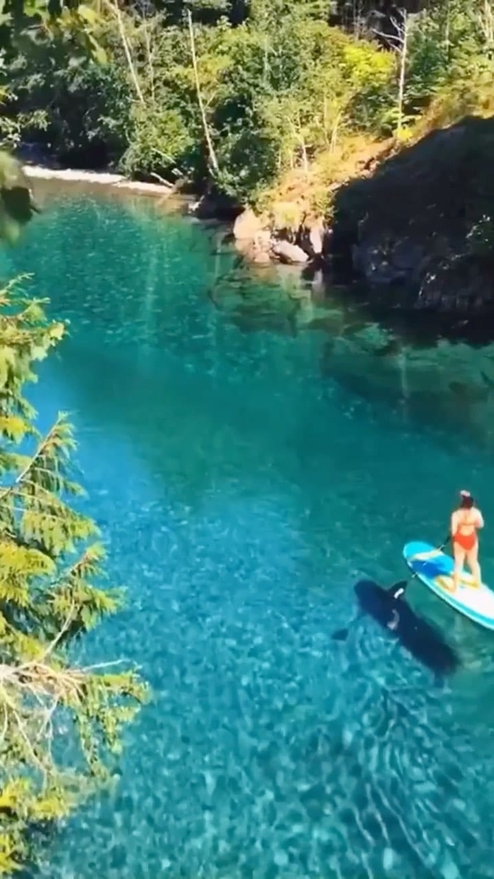 Post 10 by Thetravellingnomads™️ on Instagram (video)