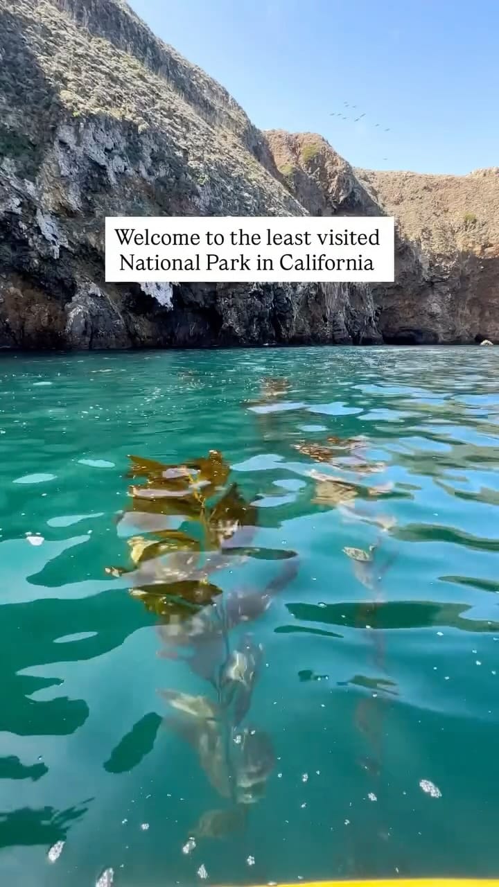 Post 1 by CeLynn Siemons & Brad Elliott | Wild & Outdoors on Instagram (video)