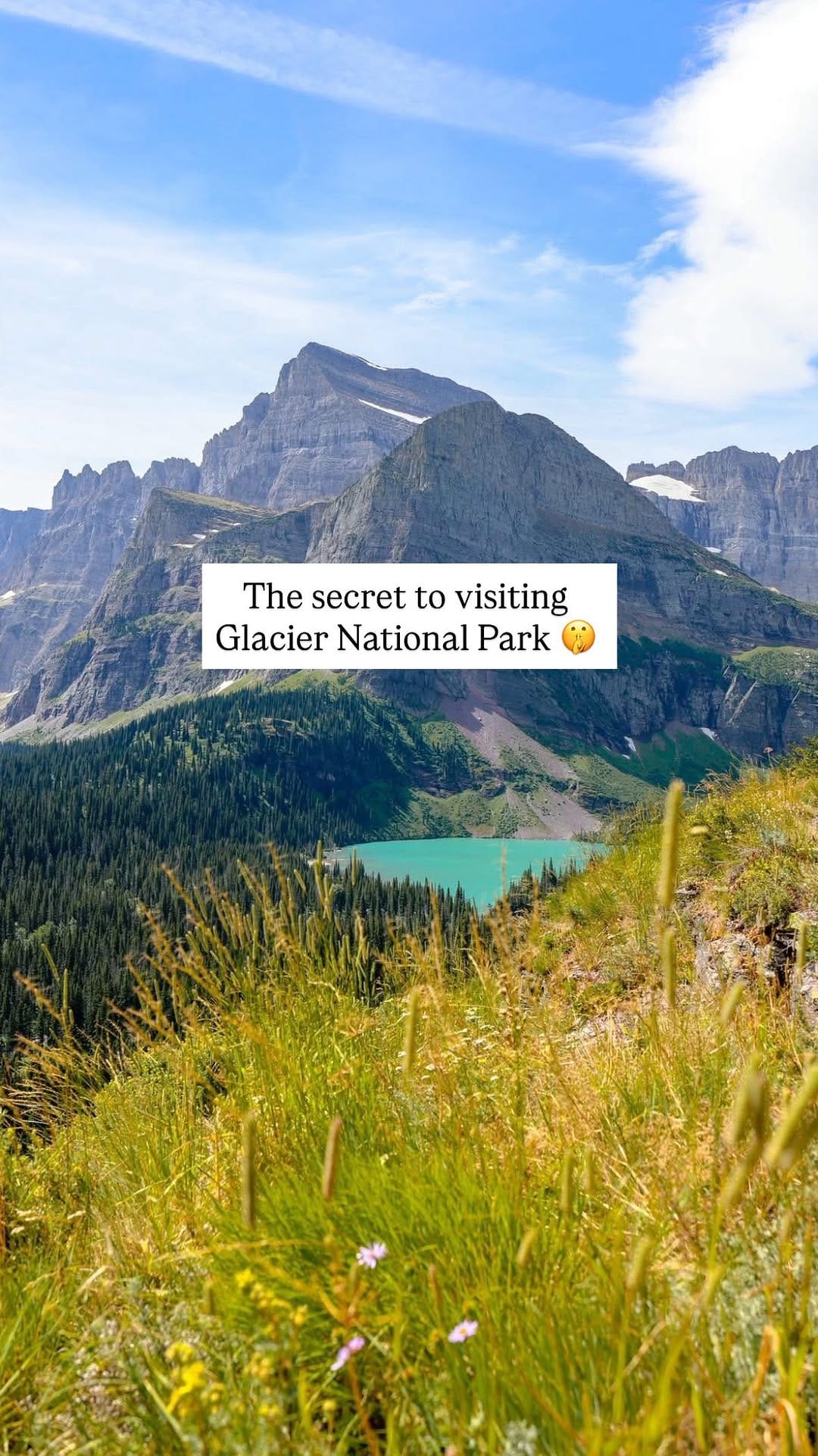 Post 5 by CeLynn Siemons & Brad Elliott | Wild & Outdoors on Instagram (video)