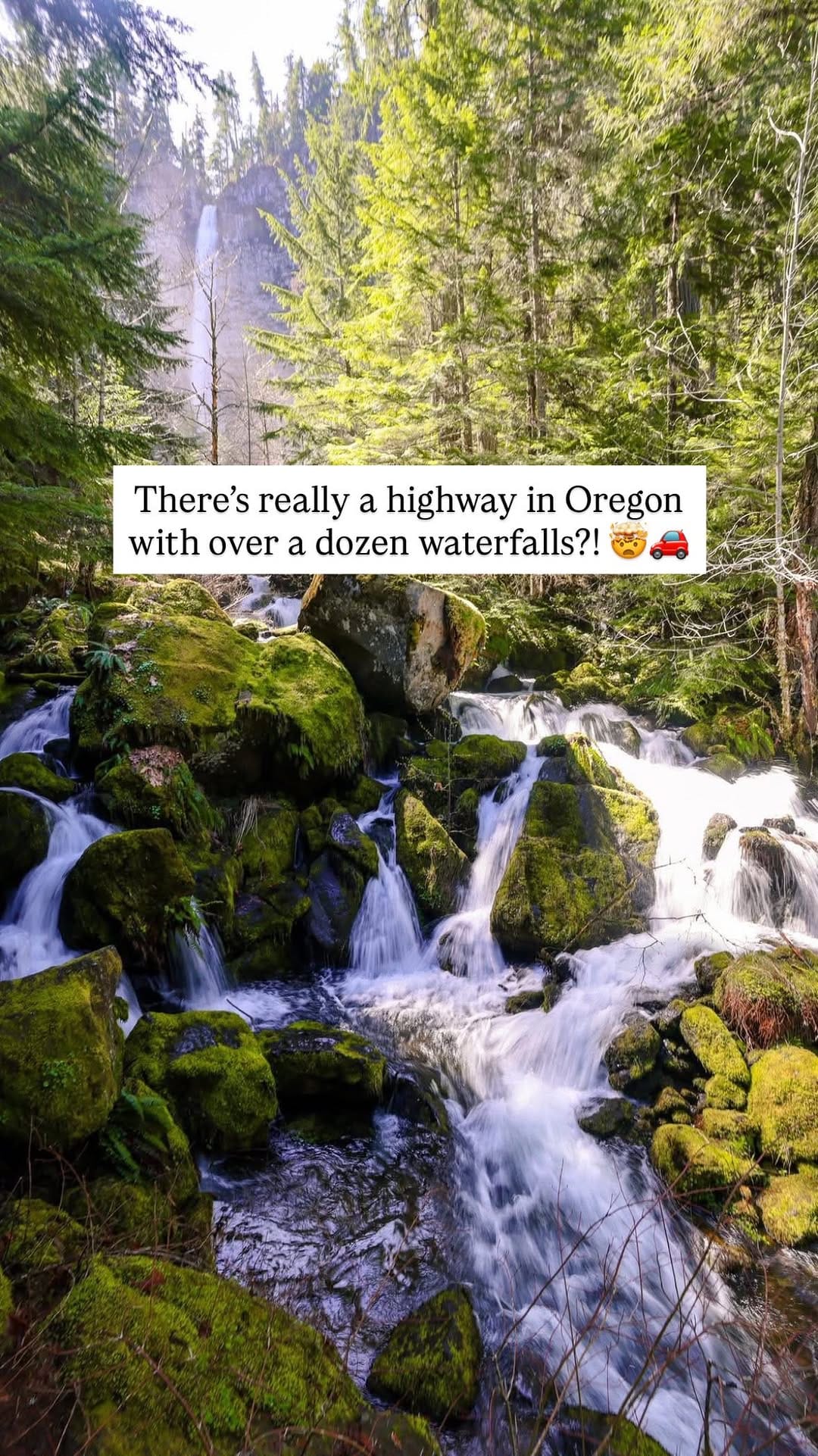 Post 4 by CeLynn Siemons & Brad Elliott | Wild & Outdoors on Instagram (video)