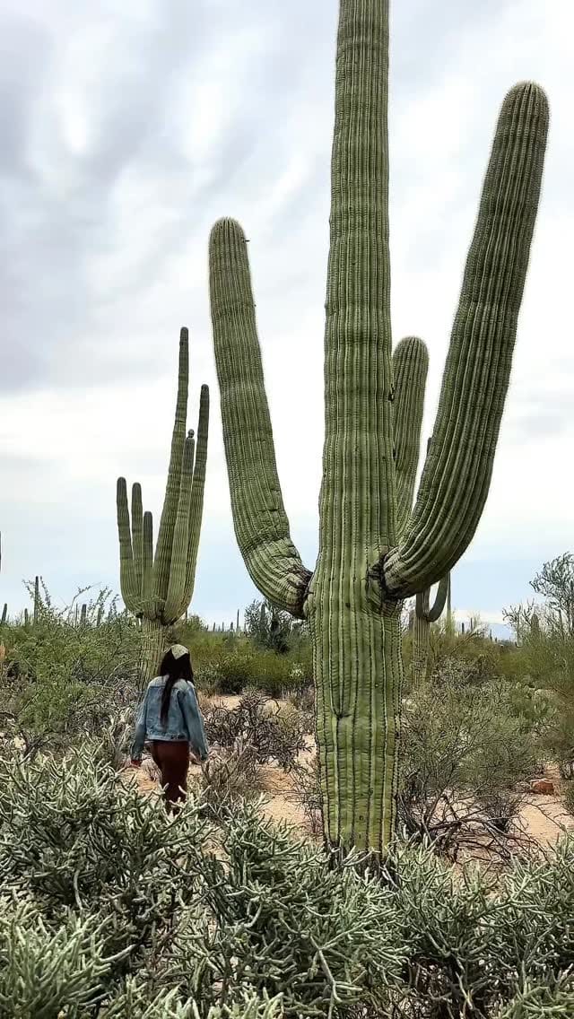Post 7 by TRISTAN & CARA | TRAVEL COUPLE on Instagram (video)