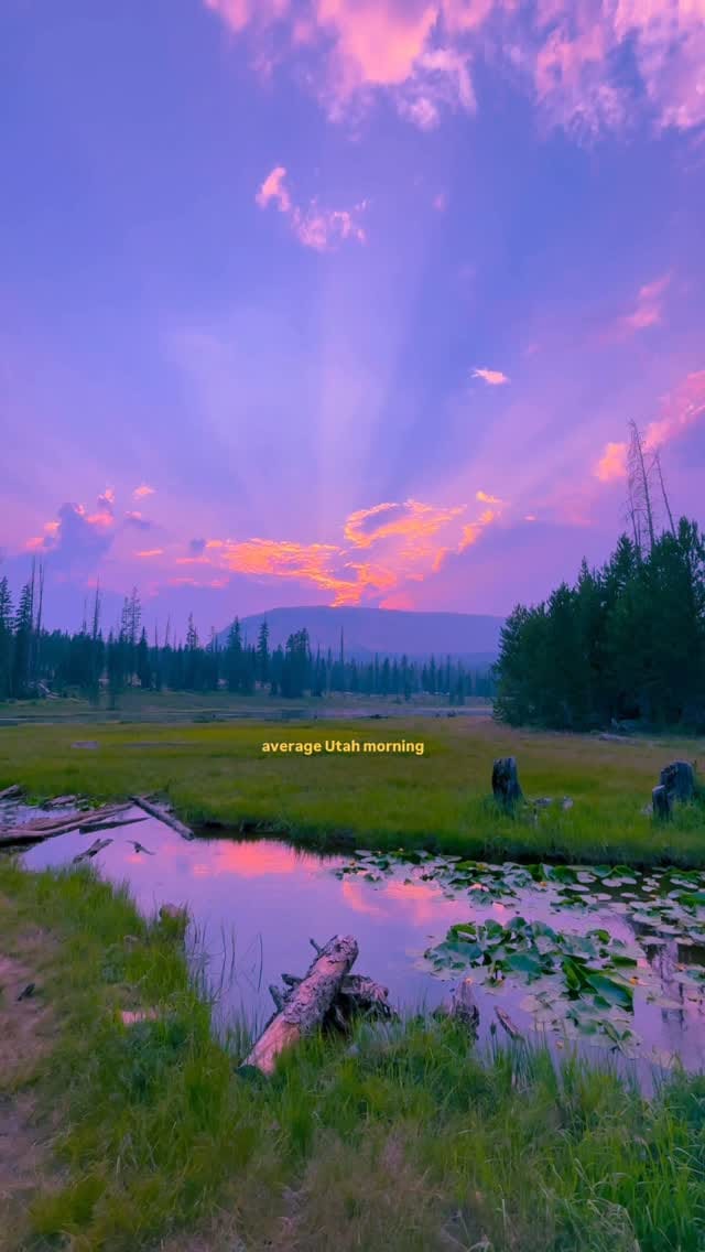 Post 6 by Wyatt Kortright | Photographer on Instagram (video)