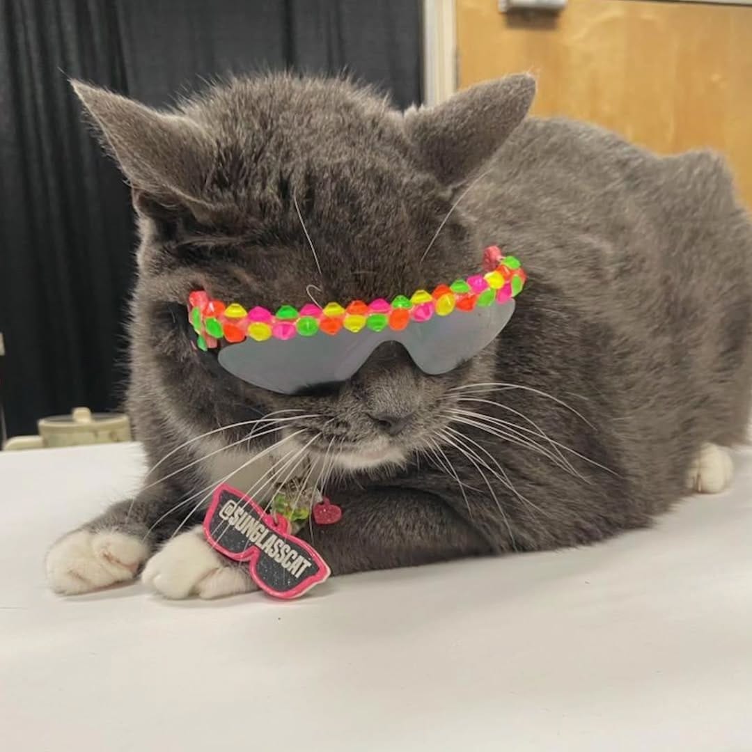Post 4 by SUNGLASSCAT LA 🏖 NYC🗽Detroit 🚗 on Instagram (image)