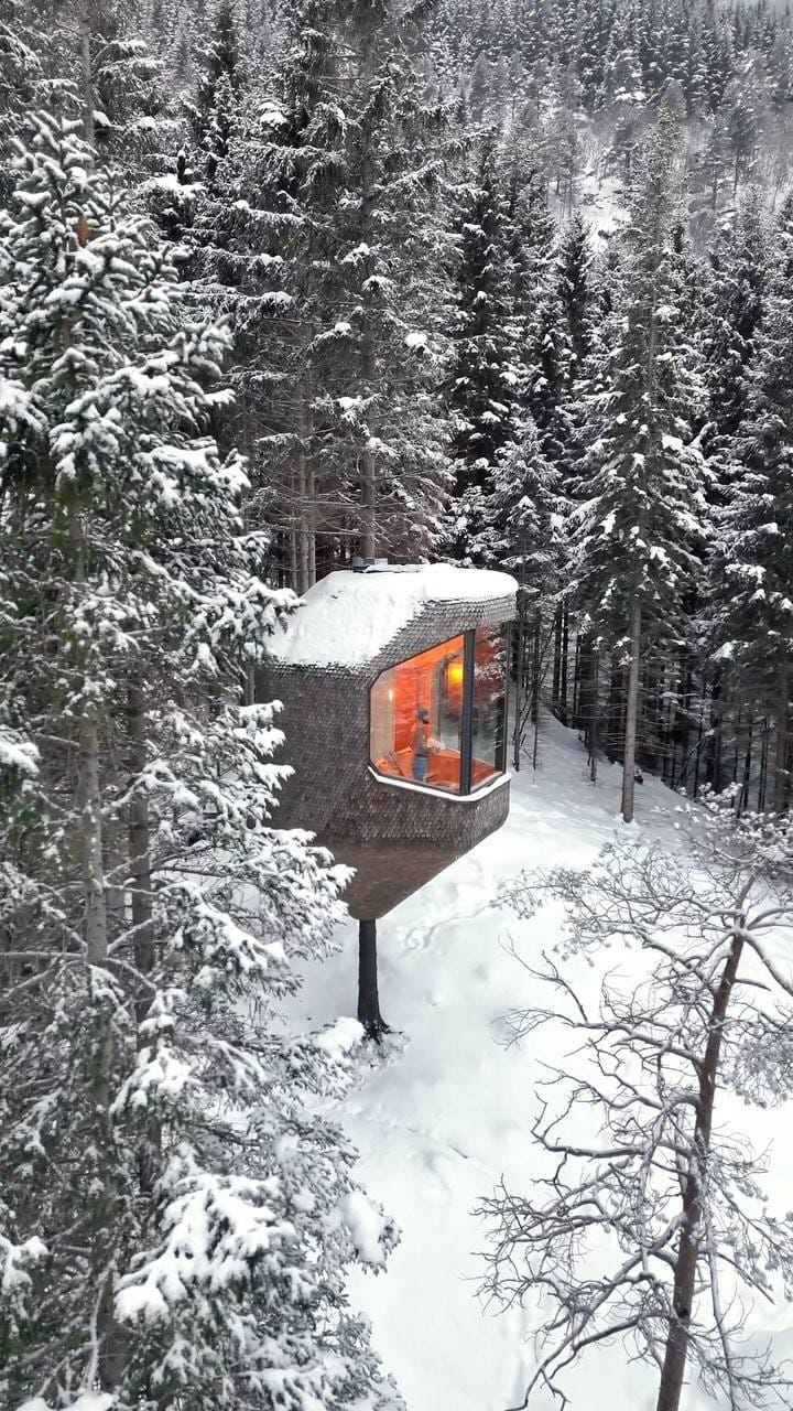 Post 10 by Townsend James on Instagram (video)