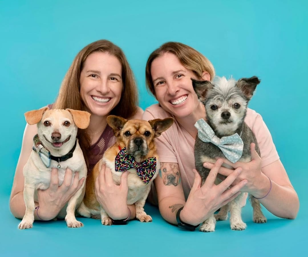 Post 3 by Sarah DeRemer | Dog Photographer on Instagram (carousel)