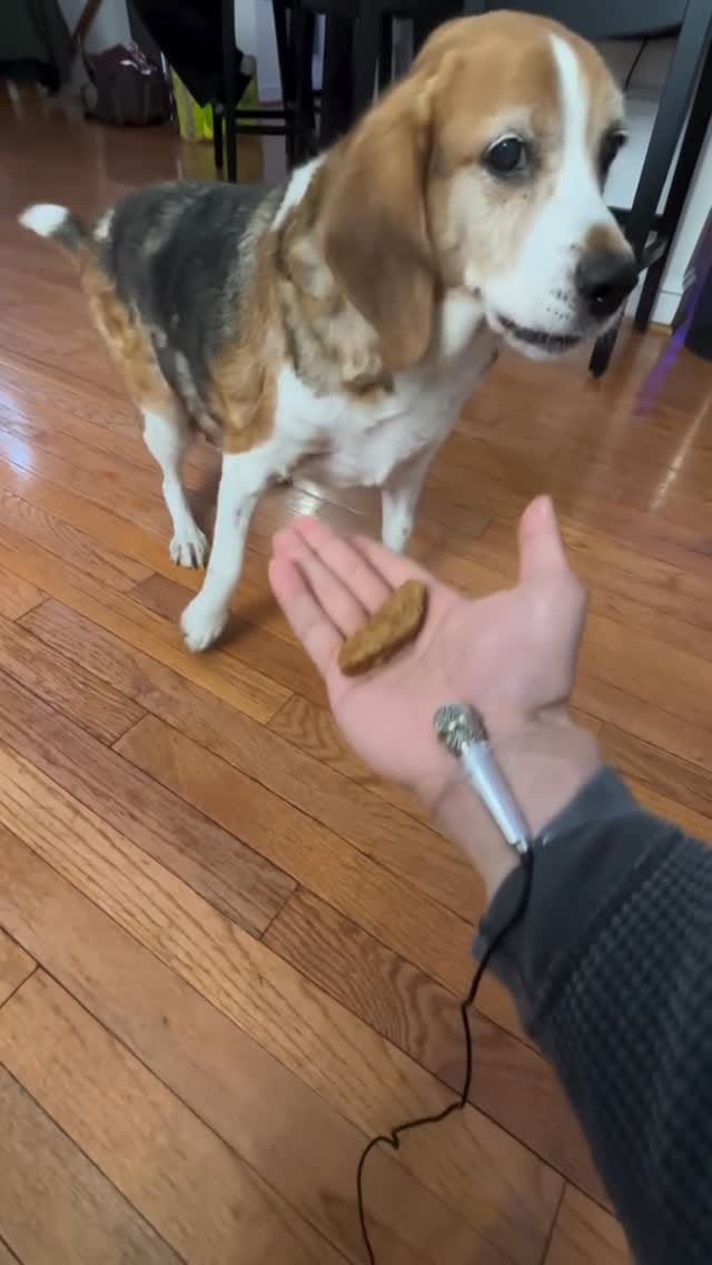 Post 2 by CRASH on Instagram (video)