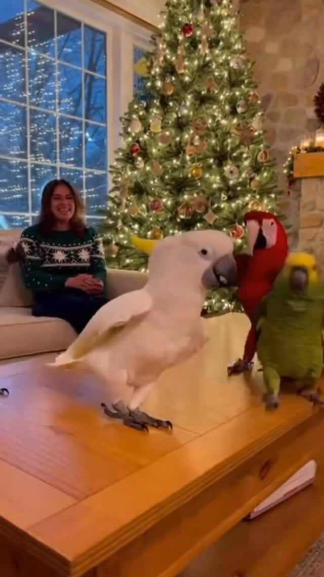 Post 7 by CRASH on Instagram (video)