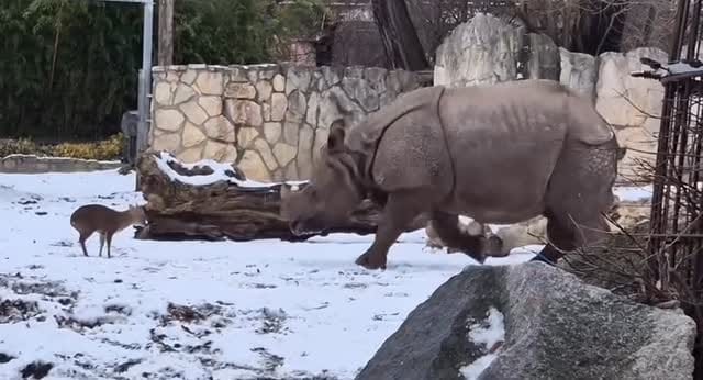 Post 5 by CRASH on Instagram (video)
