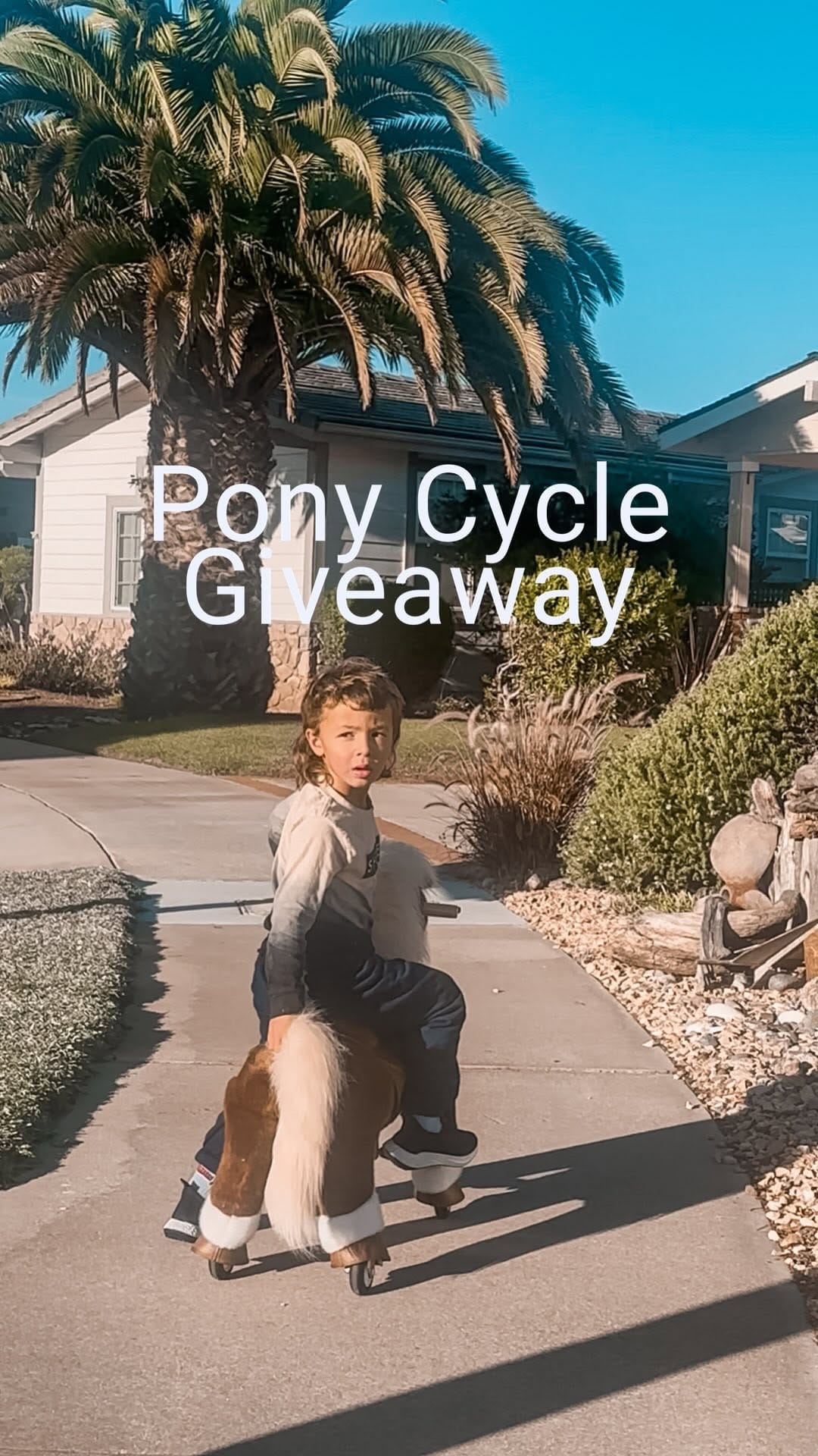 Post 5 by Melissa Dortch on Instagram (video)