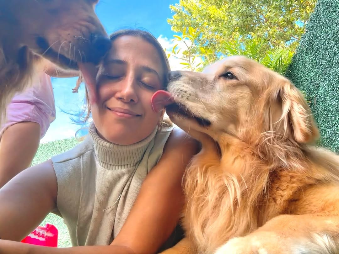 Post 4 by The life of    M I L O  V A L E R    the golden retriever on Instagram (image)