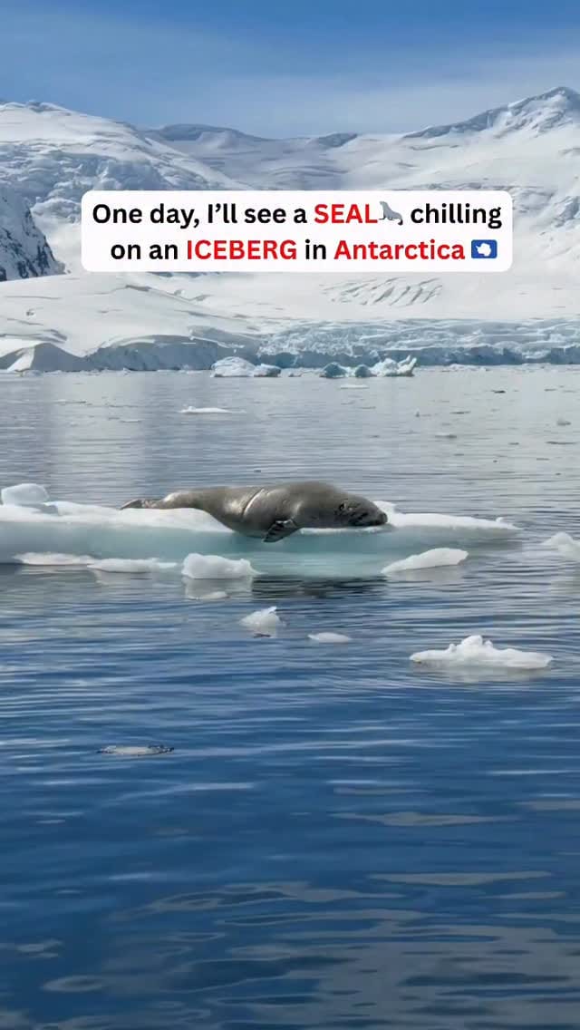 Post 3 by Anindita Chatterjee | Globetrotting Mum❤️ on Instagram (video)