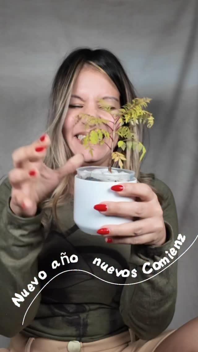 Post 2 by Meme |  UGC creator Travel Foodie Favorite on Instagram (video)