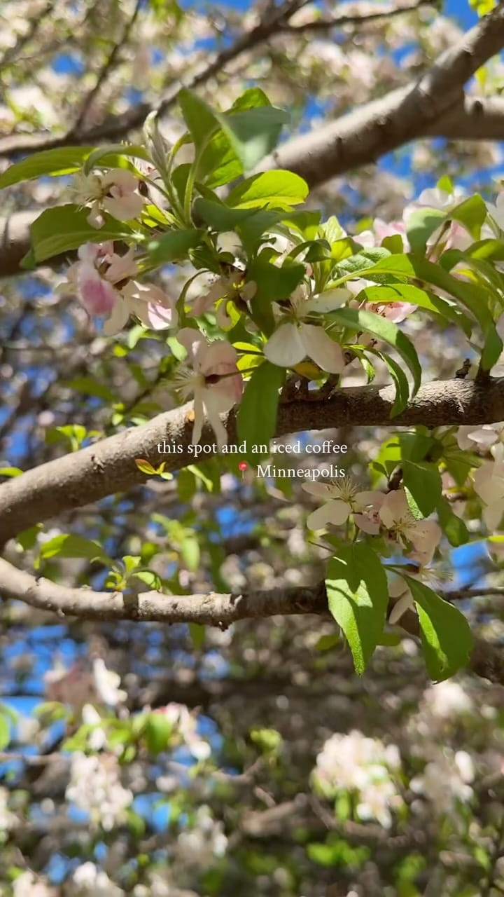 Post 10 by jade from state farm on Instagram (video)