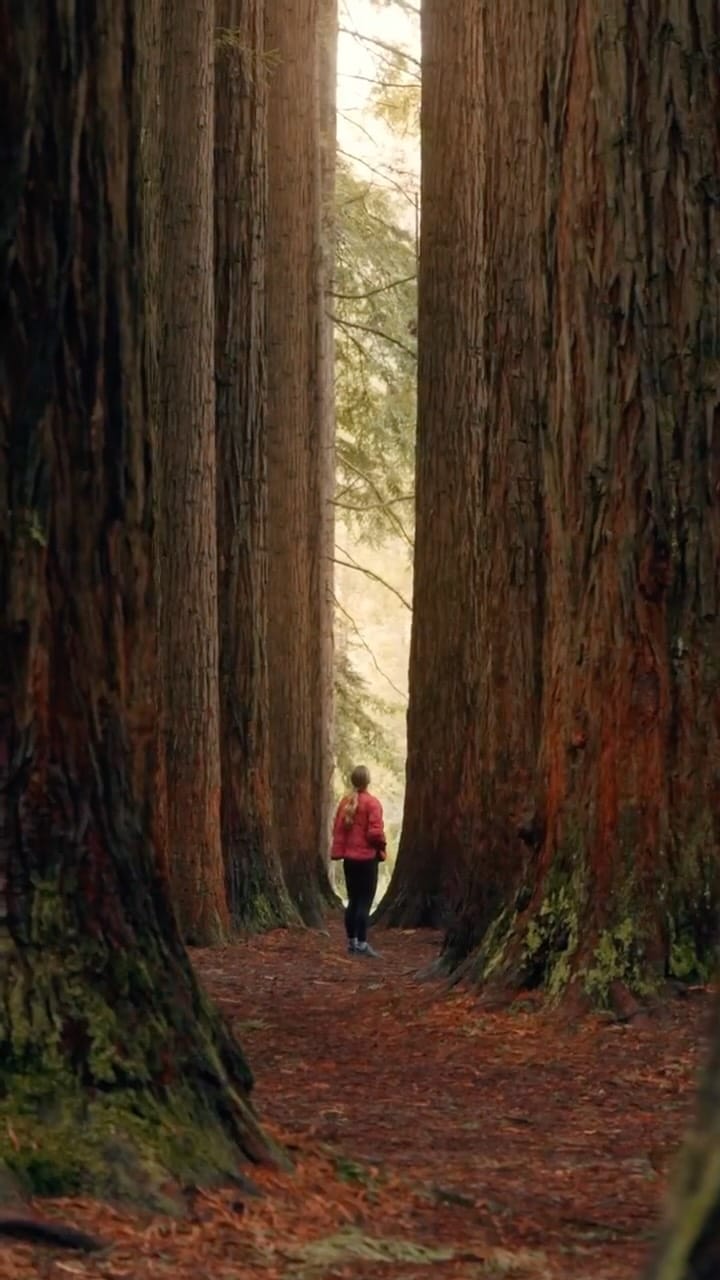 Post 8 by Kelsey & Alec | Adventure Travel & Outdoors on Instagram (video)