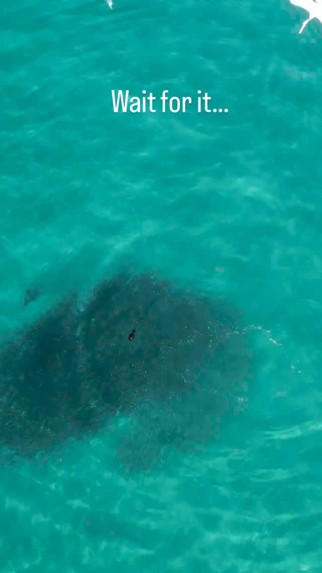 Post 5 by Nath ♒︎ Ocean-Minded ♒︎ 🇫🇷🇺🇸 on Instagram (video)