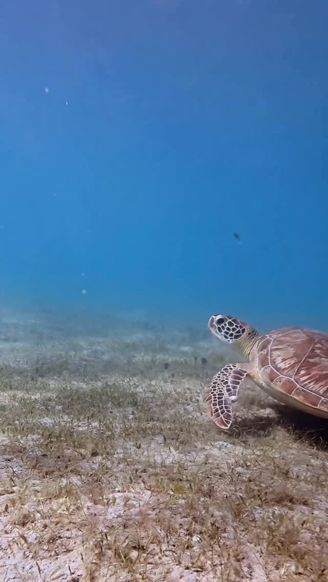 Post 3 by Nath ♒︎ Ocean-Minded ♒︎ 🇫🇷🇺🇸 on Instagram (video)