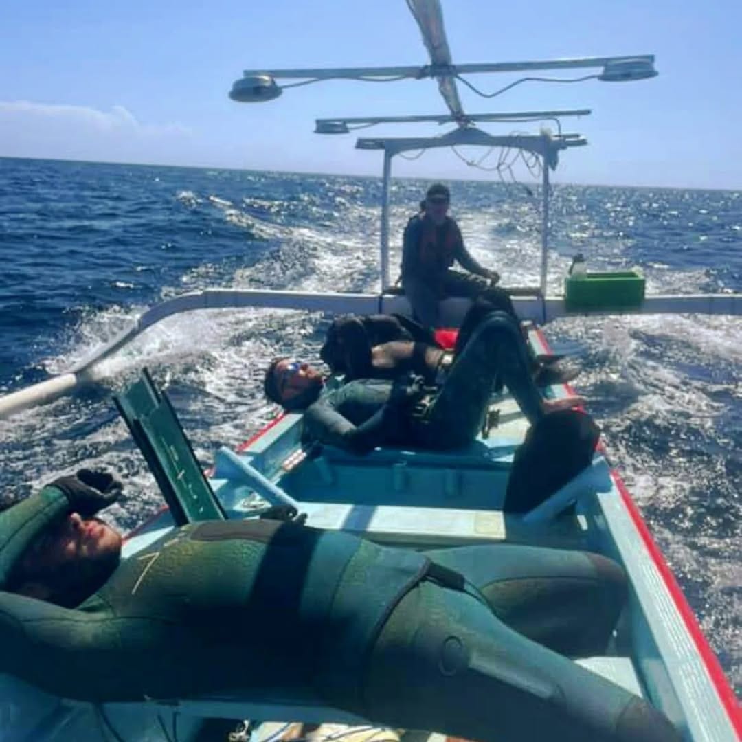 Post 5 by Patrick Ryan // Spearfishing on Instagram (image)