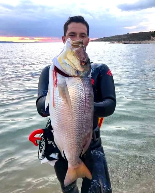 Post 9 by Patrick Ryan // Spearfishing on Instagram (image)
