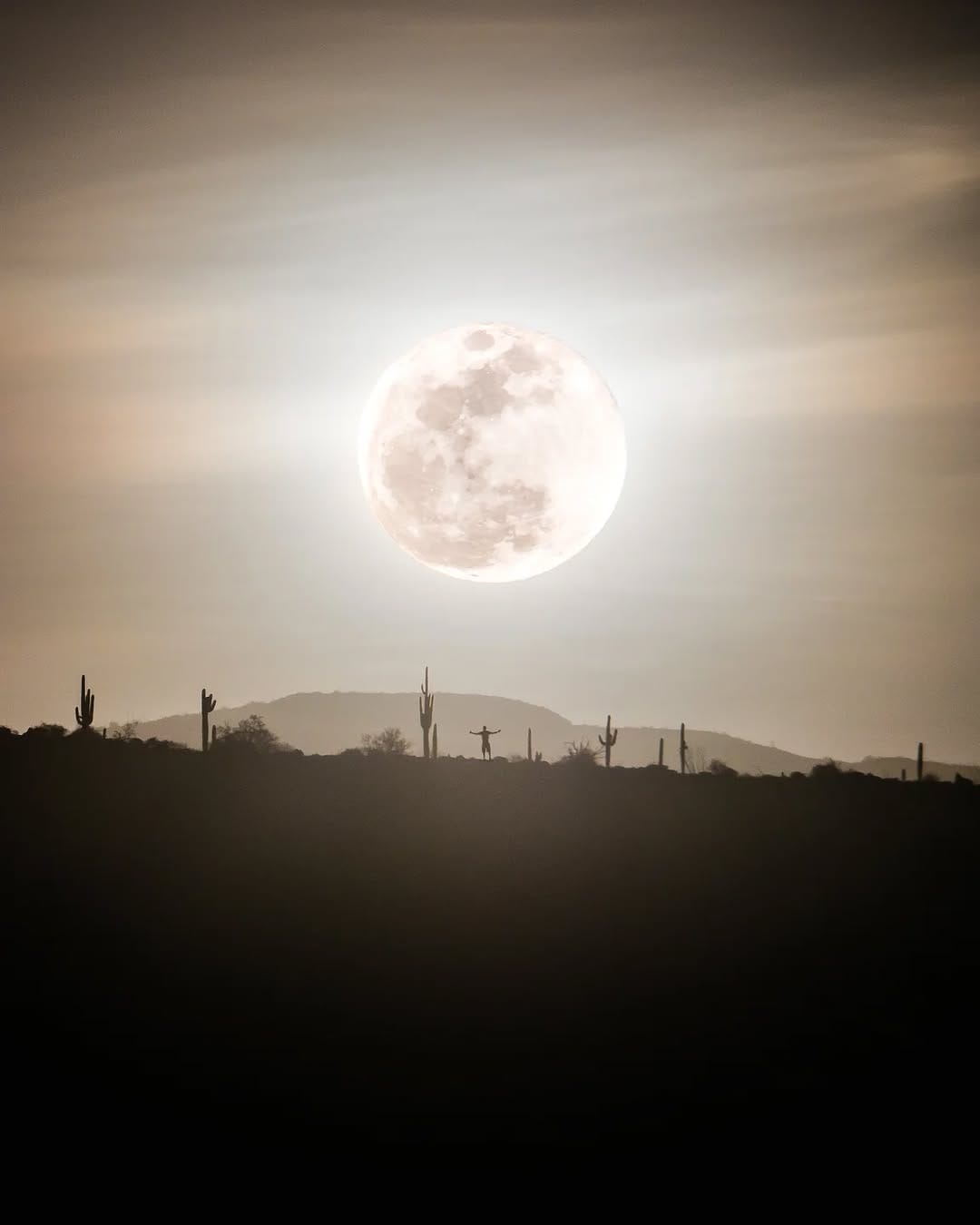 Post 6 by Tyler Barks on Instagram (image)