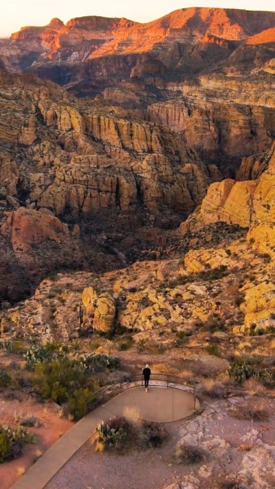 Post 10 by Tyler Barks on Instagram (video)