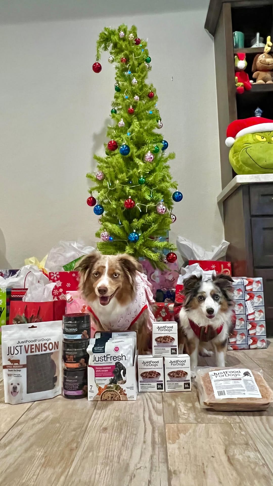 Post 10 by Essie & Aspen || Toy & Mini Australian Shepherds on Instagram (video)