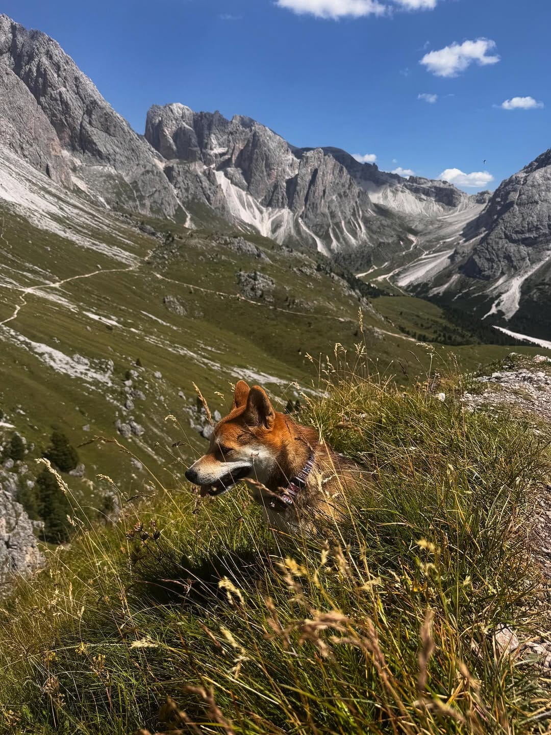 Post 1 by Jeremy Gardner on Instagram (carousel)