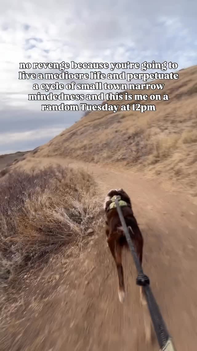 Post 2 by Morgan & The Dogs ッ | Funny Dog Content | U.S. Travel on Instagram (video)