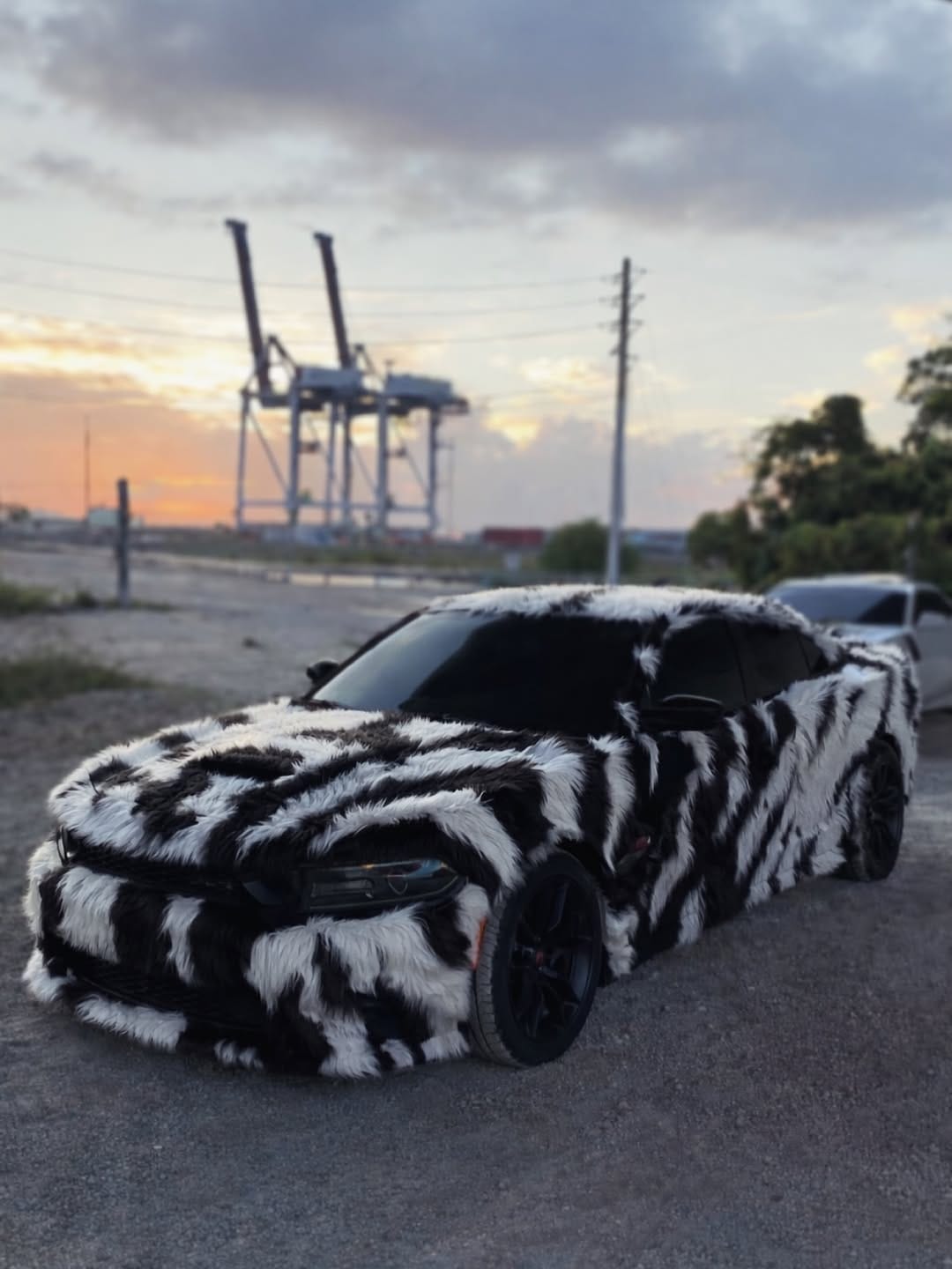 Post 1 by Jay 🖌️ on Instagram (image)