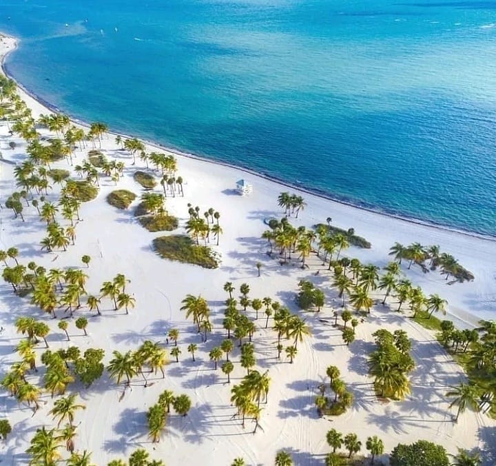 Post 7 by Miami Traveler on Instagram (image)