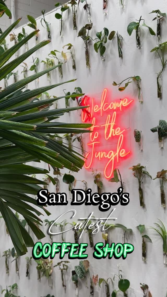 Post 2 by Jas Grover | San Diego Food & Travel on Instagram (video)