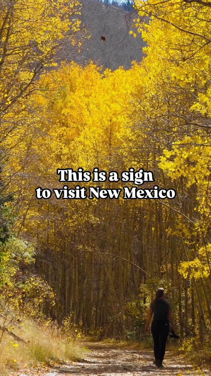Post 5 by NM LIFE | New Mexico on Instagram (video)