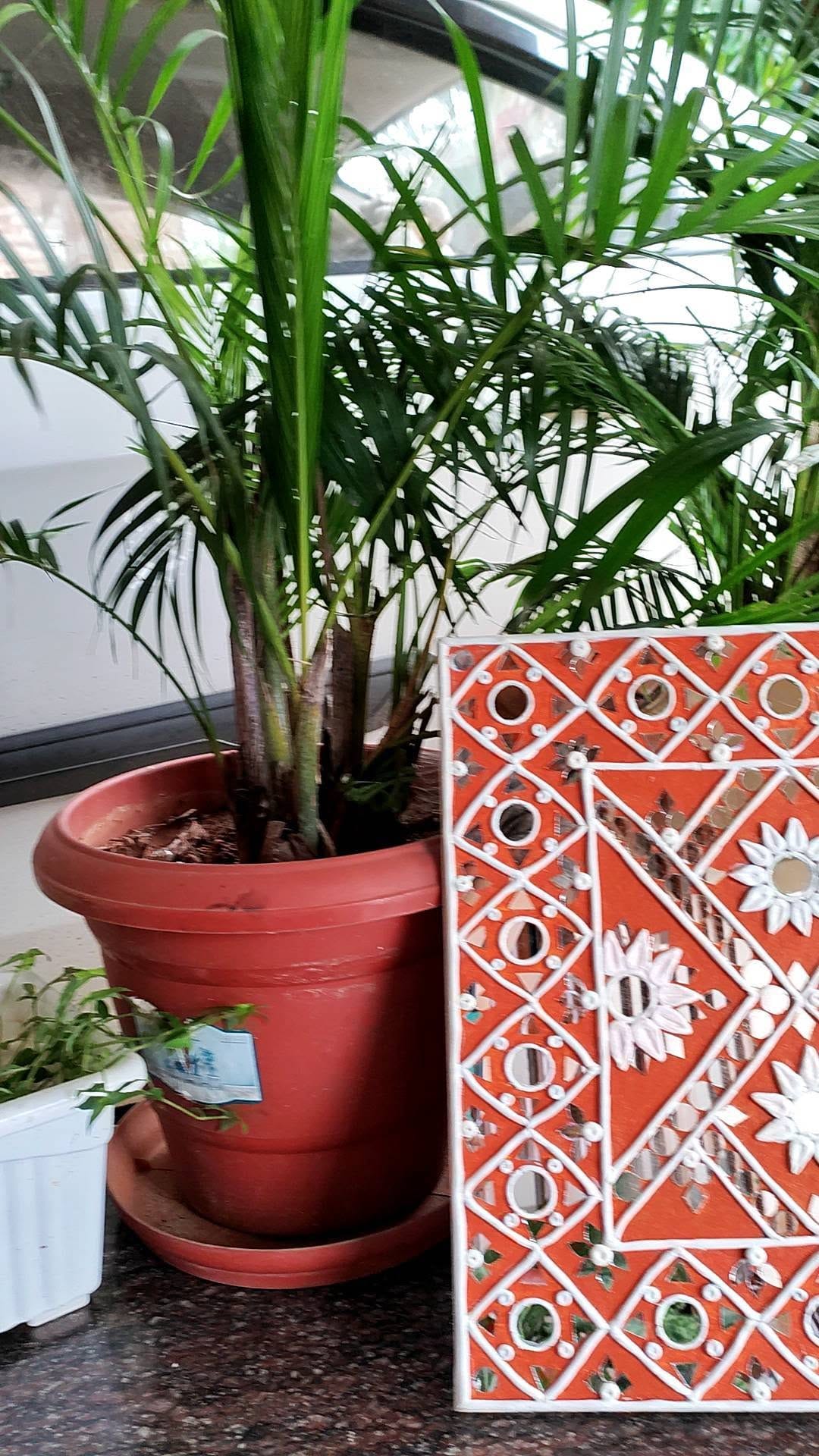 Post 10 by Priyanka Singh on Instagram (video)