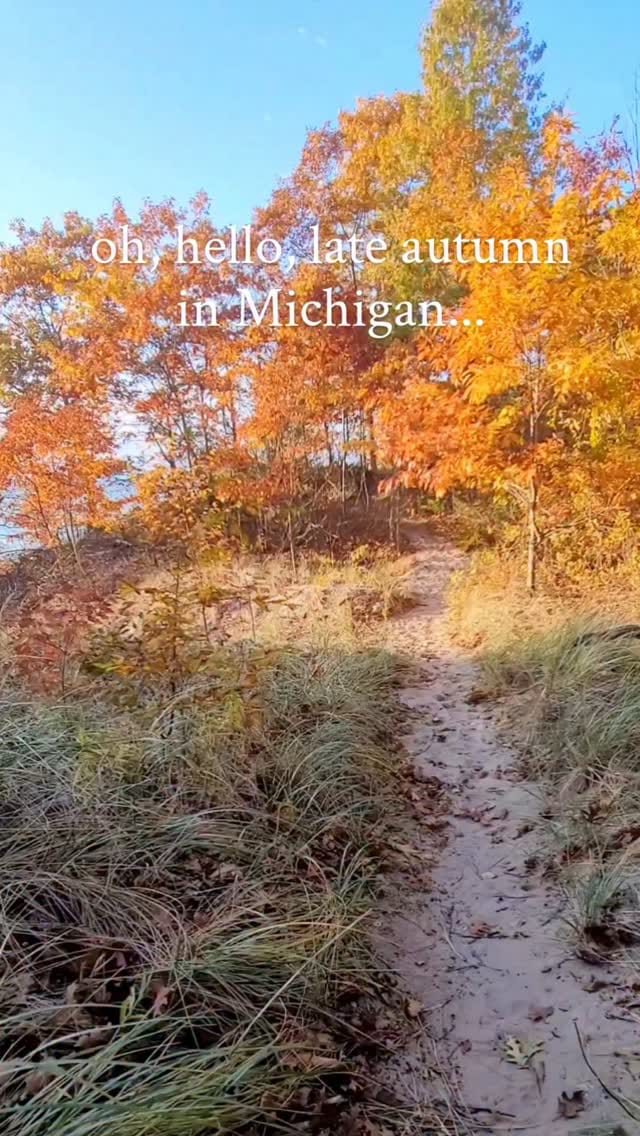 Post 4 by Ana Ferreira on Instagram (video)