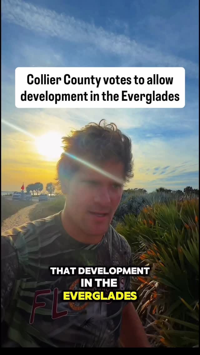 Post 4 by Sergei Kelley | Diving and “Running Wild” Florida + 🌍 on Instagram (video)