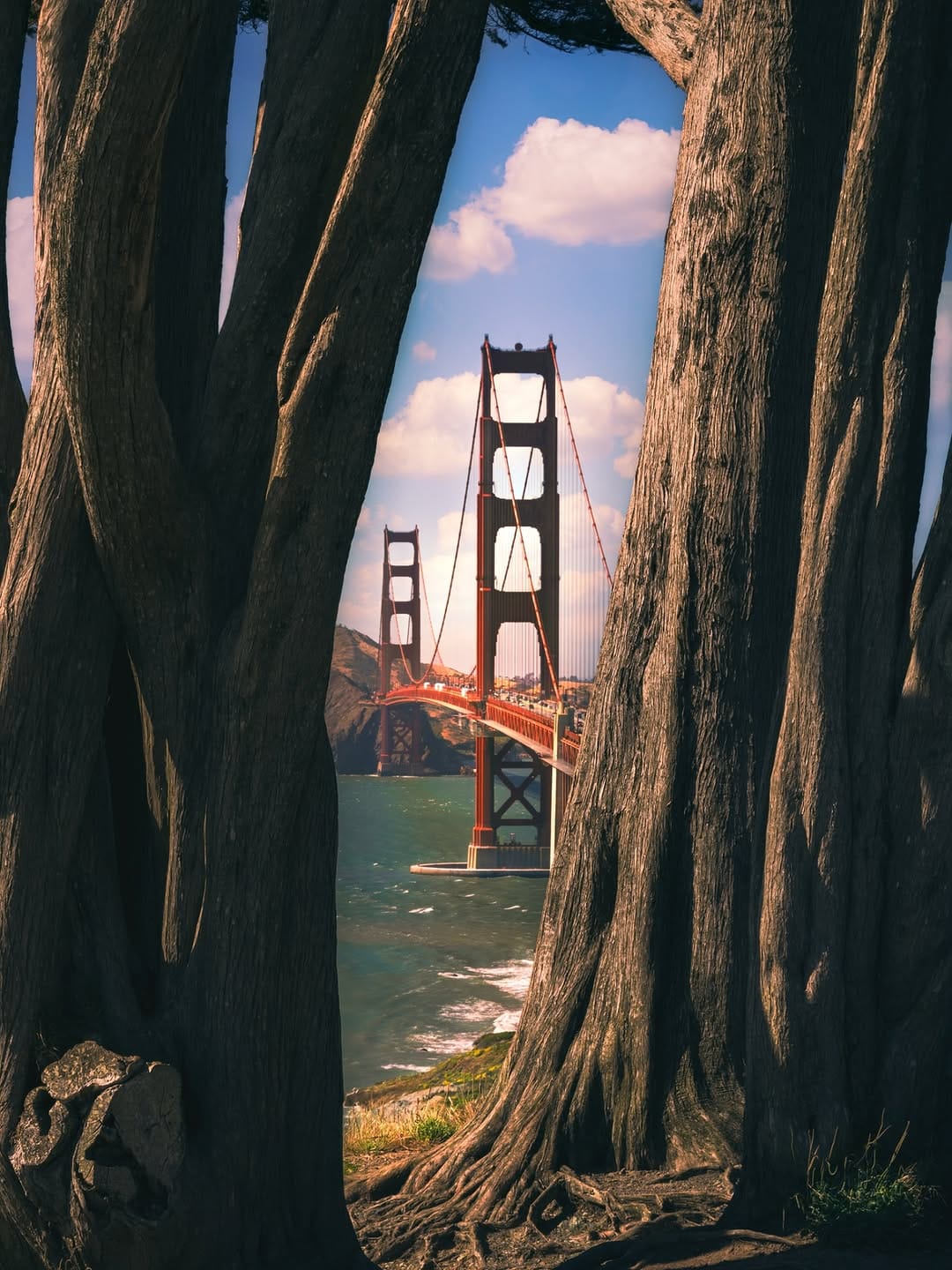 Post 6 by Anthony Verrilli on Instagram (image)