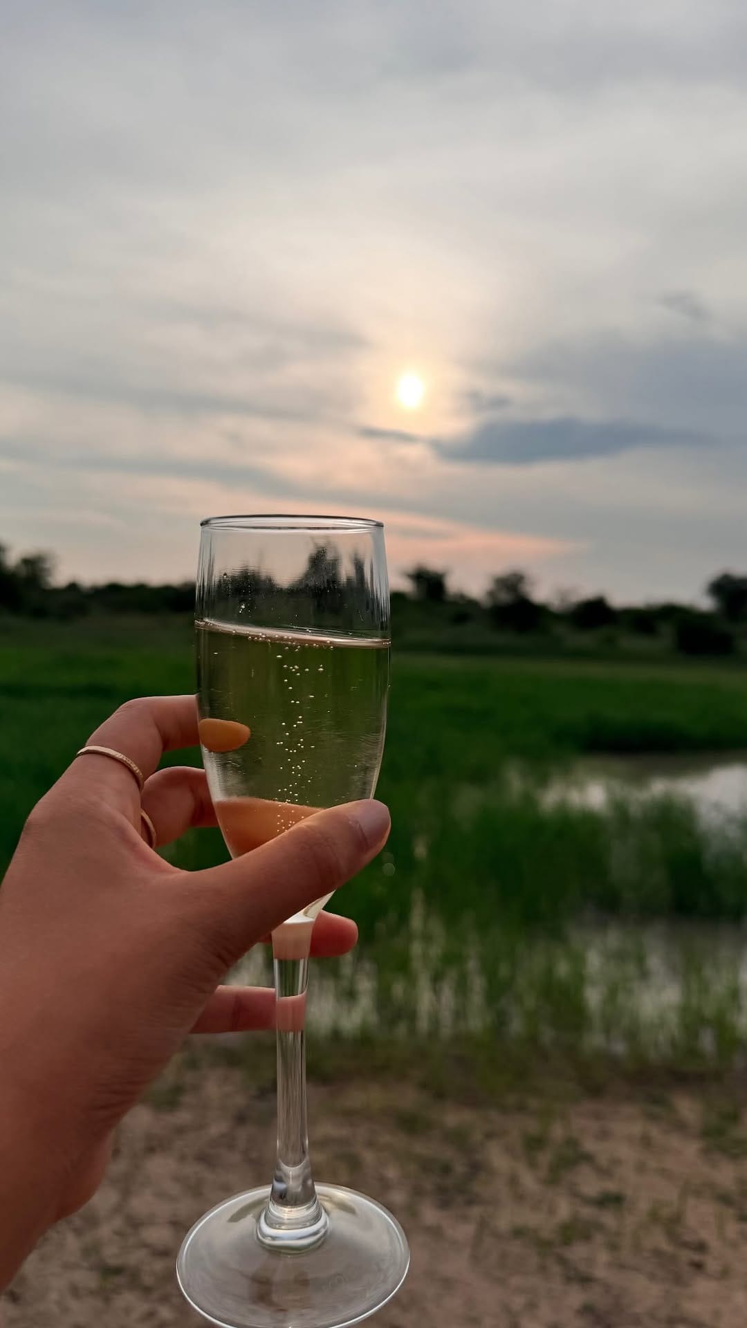 Post 1 by Chandni | Vegetarian Blogger on Instagram (video)