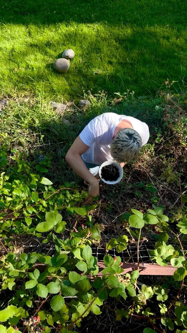 Post 5 by Ryan Mease on Instagram (video)
