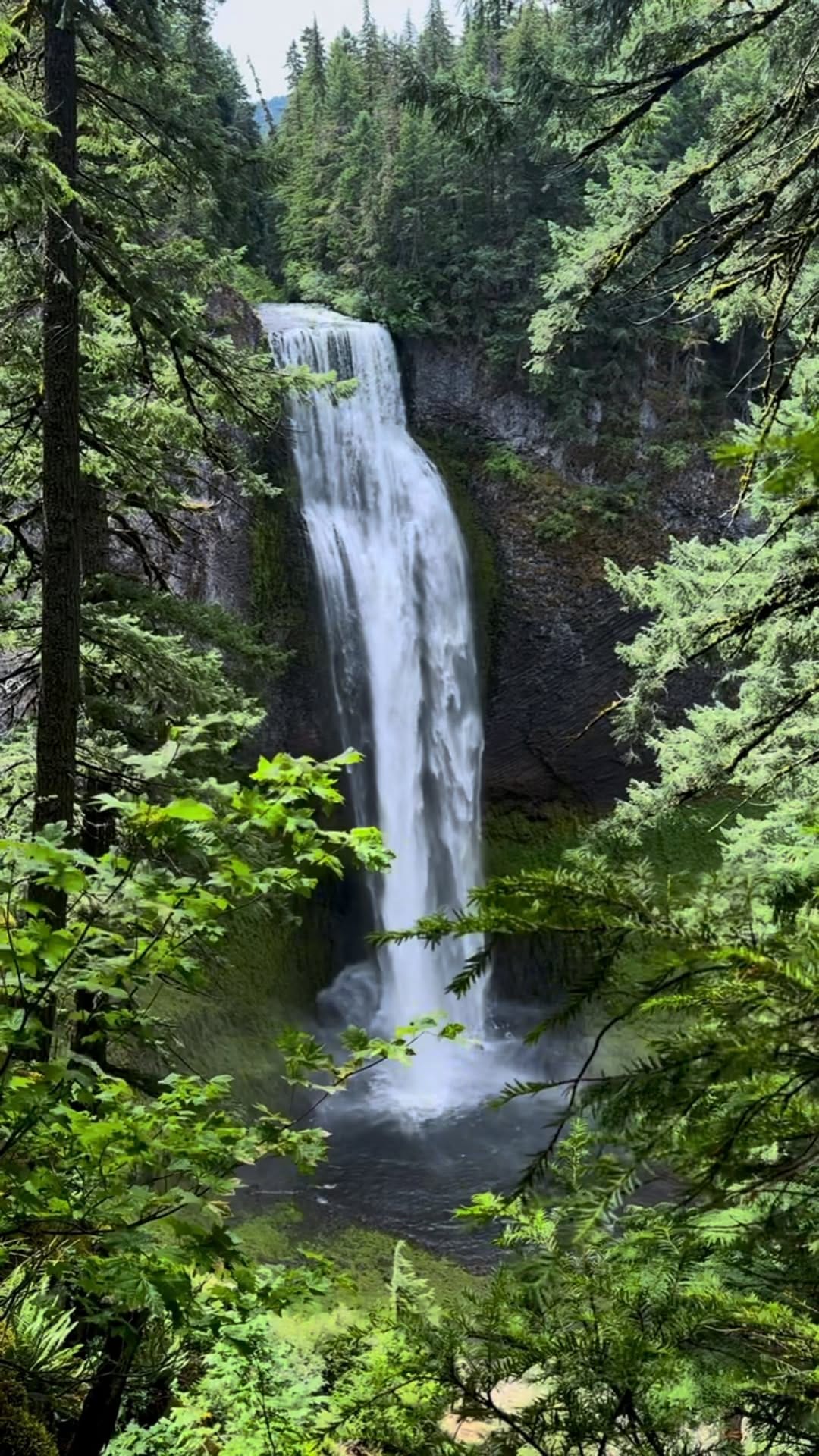 Post 3 by Ryan Mease on Instagram (video)
